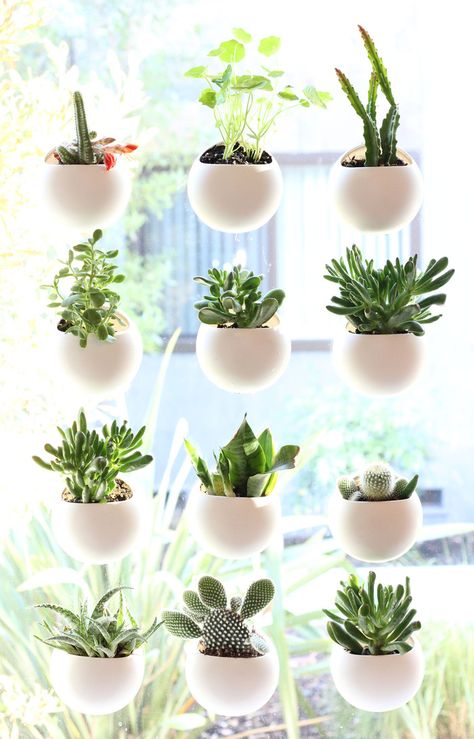 Window Pods - The Perfect Indoor Garden by Ben Shope — Kickstarter Indoor Garden Apartment, Space House, Plant Display Ideas, Indoor Vegetables, Apartment Balcony Garden, Small Indoor Plants, Jardim Diy, Window Plants, Indoor Vegetable Gardening