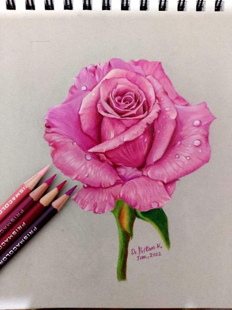 Realistic Flower Drawing Color, Color Pencil Art Flowers, Diamond Sketch, Pencil Flowers, Realistic Flower Drawing, Prismacolor Drawing, Pencil Inspiration, Fineliner Art, Prismacolor Art