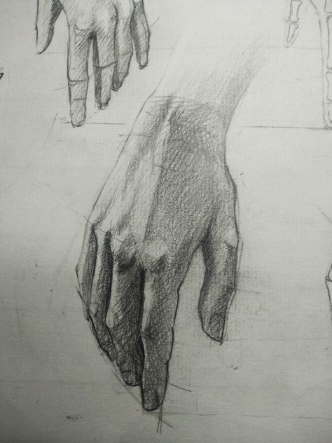 😌 #hand #graphite #realism (?) Realistic Drawings Hands, Hands Pen Drawing, Women Hand Drawing, How To Draw A Realistic Hand, Women Hands Drawing, Hand Inspo Drawing, Realistic Hands Drawing, Woman Hands Drawing, Quick Sketches Easy