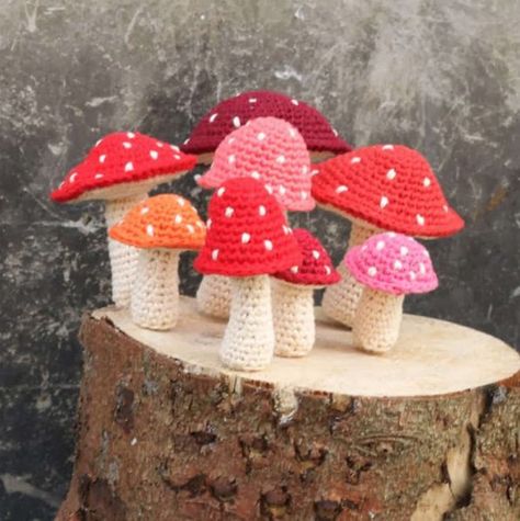 Mushroom Patterns, Crochet Mushroom, Crochet Plant, Simple Crochet, Crochet Food, Crochet Diy, Love Crochet, Crochet Dolls, Stuffed Toys Patterns