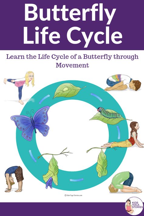 Butterfly life cycle. Learn the butterfly cycle through movement and yoga | Kids Yoga Stories Yoga Pose Ideas, Life Cycle Of A Butterfly, Cycle Of A Butterfly, Kid Yoga Lesson Plans, Yoga Poses For Kids, Yoga Lesson Plans, Kinesthetic Learning, Partner Yoga Poses, Childrens Yoga