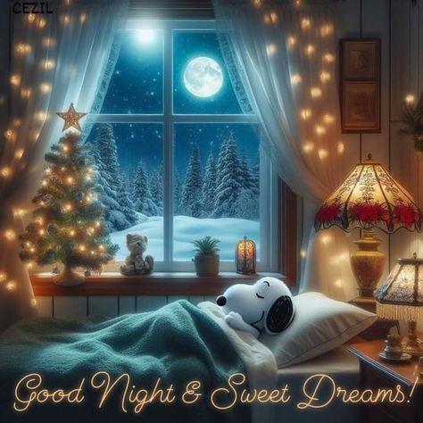 Good Night Snoopy, Goodnight Baby, Goodnight Snoopy, Snoopy Toys, Good Night Everyone, Snoopy Images, Snoopy Wallpaper, Good Night Prayer, Snoopy Quotes