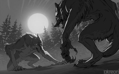 akreon on Twitter: "Werewolf brawl.… " Werewolf Drawing, Werewolf Aesthetic, Werewolf Art, Mythical Creatures Art, Wolf Art, The Villain, Creature Design, Creature Art, Dark Fantasy Art