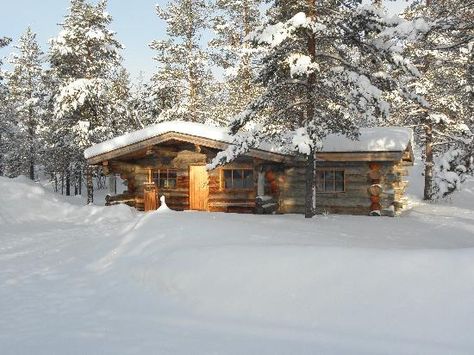 Cozy Cabin Aesthetic, Northern Lights Hotel, Igloo Village, Kakslauttanen Arctic Resort, Large Cabin, Hotel Images, Shed Tiny Home, Cabin Aesthetic, Cabin Tiny House