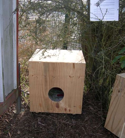 Feral Cat House, Cave Animals, Chat Diy, Niche Chat, Cat Care Tips, Dry Cat Food, Outdoor Cats, Feral Cats, Stray Cat