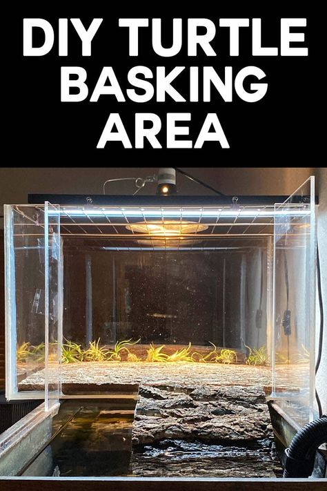 Aquatic Turtle Enclosure Indoor, Large Turtle Basking Platform Diy, Turtle Basking Area Ideas, Turtle Tank Basking Area, Turtle Dock Diy, Basking Area For Turtles Diy, Above Tank Turtle Basking Area, 55 Gallon Turtle Tank Ideas, Diy Turtle Basking Platform Above Tank