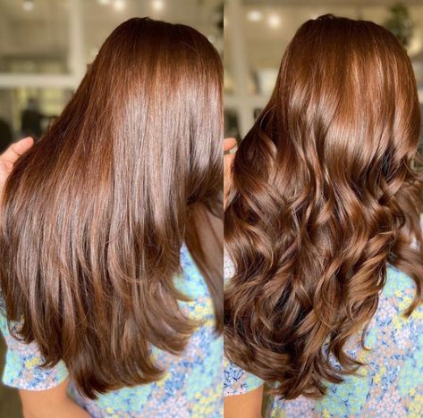 Mahogany Brunette Hair, Brown Copper Formulas, Light Cinnamon Brown Hair Color, Brown Red Copper Hair Color, Global Hair Colour, Light Chocolate Brown Hair Color, Light Chocolate Brown Hair, Global Hair Color, Caramel Blonde Hair