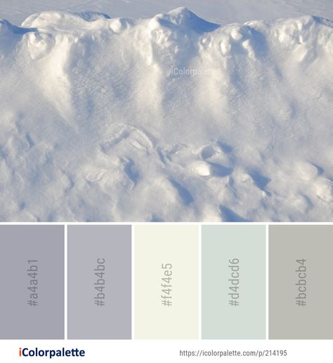 Color Palette ideas #icolorpalette #colors #inspiration #graphics #design #inspiration #beautiful #colorpalette #palettes #idea #color #colorful #colorscheme #colorinspiration #colorcombinations #colorcombos Arctic Color Palette, Vtuber Ideas, Snow Dragon, Pastel Blue Color, Color Palette Ideas, Colors Inspiration, Japanese Colors, Palette Design, Pastel Grey