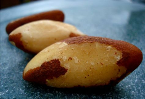 Brazil nuts aren't just for snacking. These thyroid-boosting nuts go a long way in helping you create all kinds of dairy-free dishes and beverages! Here are 4 ideas! Brazil Nuts Benefits, Brazilian Nuts, Food Remedies, Healthy Nuts, Brazil Nuts, Raw Coconut, Nut Recipes, Vegan Gluten Free Recipes, Seasonal Allergies