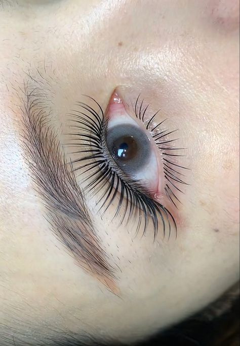 Underlash Eyelashes, Eyelash Extentions, Portrait Photography Women, Eye Lashes, Eyelash Extension, Photography Women, Eyelash Extensions, Baby Doll, Eyelashes