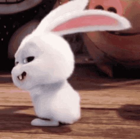 Bunny Happy Dance GIF - Tenor GIF Keyboard - Bring Personality To Your Conversations | Say more with Tenor White Rabbit, Animated Gif, Gif, Humor, Funny, White, Humour