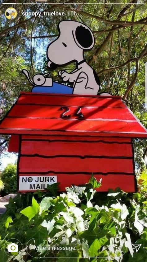 Snoopy Mailbox Ideas, Mailbox Ideas Diy, Mail Box Ideas, Snoopy Mailbox, Reno Furniture, Funny Mailboxes, Little Free Library Plans, Cool Mailboxes, Snoopy Dog House