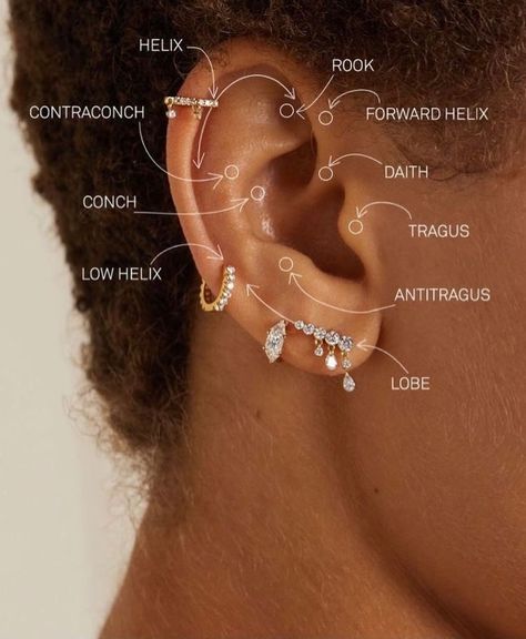 Ear piercing Eat Piercings, Ear Piercings Placement Chart, Earring Party, Evry Jewels, Classy Looks, Ear Piercings Chart, Piercing Chart, Multiple Ear Piercing, Mothers And Daughters