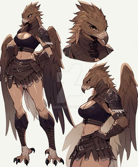 Bird Woman Character Design, Dnd Birdfolk, Aarakocra Female, Avian Character Design, 2k Instagram Followers, Dnd Concept Art, The Butterfly Haircut, Long Beautiful Hair, Monster Verse