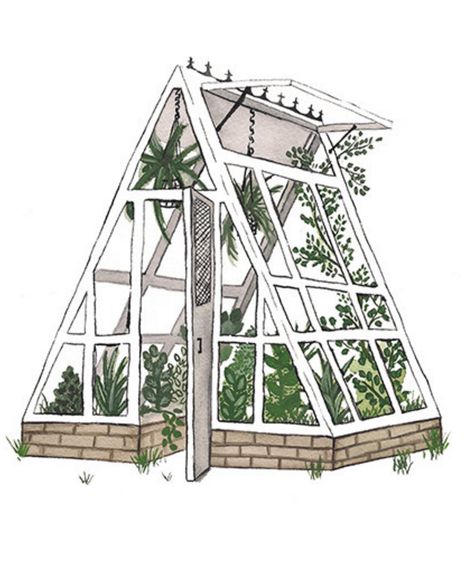 Greenhouse Illustration Greenhouse Doodle, Art Studio Greenhouse, Greenhouse Drawing, Greenhouse Illustration, Lean To Greenhouse Kits, White Clematis, Plant Watering System, Lean To Greenhouse, Wooden Greenhouses