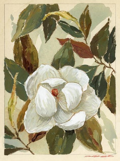 Magnolia Art Drawing, Magnolia Photography, Magnolia Painting, Magnolia Botanical Illustration, Magnolia Flower Painting Acrylics, Magnolia Oil Painting, Magnolia Illustration Botanical Prints, Magnolia Flower Artwork, Magnolia Gouache Painting