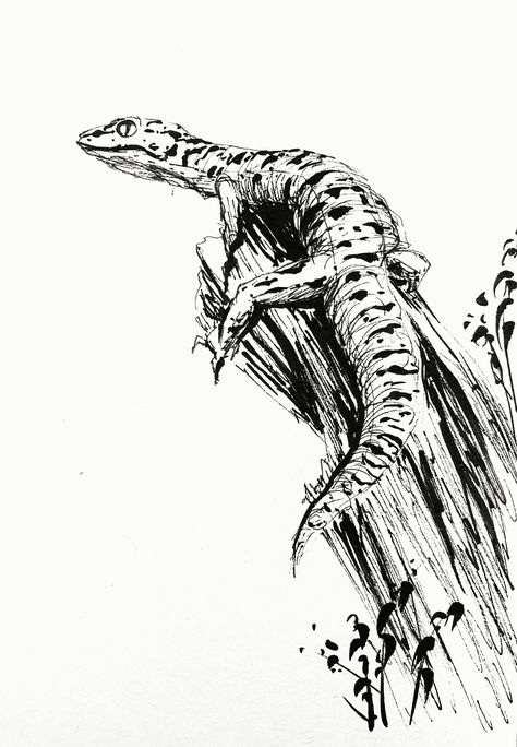 monitor lizard animal reptile gigantic huge tail tree leaf grass exotic art drawing painting  illustration sketch design wallpaper background notai ink line hand drawn monochrome black white pen paper Exotic Drawing Sketch, Monitor Lizard Drawing, Exotic Inktober, Lizard Drawing, Jungle Drawing, Inktober 2024, Monitor Lizard, White Pen, Tree Drawing