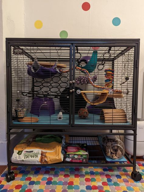 Rat House Ideas, Rat Cage Set Up, Rat Cages Ideas, Rat Cage Ideas Aesthetic, Rat Cage Setup, Rat Free Roam Area, Rat Enclosure, Rat Cage Ideas, Small Rat Cage