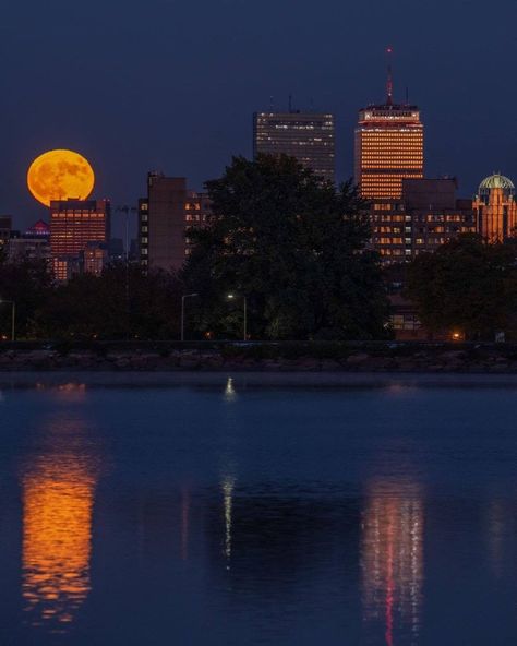 Boston Halloween Aesthetic, Boston Halloween, Boston At Night, Boston Aesthetic, Vhs Aesthetic, Mac Wallpapers, Aesthetic Types, Boston City, Dreamy Places