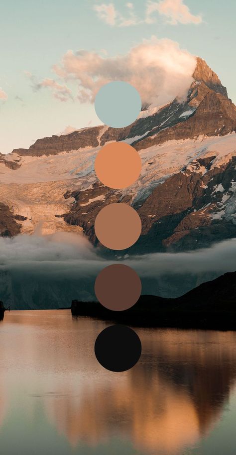 Film Photography Color Palette, Modern Rustic Color Palette, Premium Color Palette, Mountain Color Palette, Color Pallete Aesthetic, Urban Color Palette, Moodboard Background, Colour Moodboard, Colors Moodboard