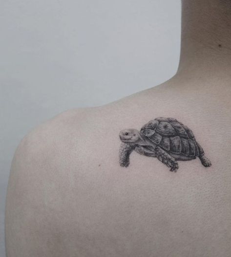 21+Small & Simple Turtle Tattoo Designs | PetPress Tattoo Ideas Turtle, Simple Turtle Tattoo, Summer Tattoo Ideas, Fineline Tattoo Ideas, Small Turtle Tattoo, Leg Tattoos For Men, Tortoise Tattoo, Best Leg Tattoos, Turtle Tattoo Designs