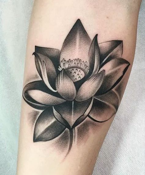 Realistic Lotus Tattoo, White Lotus Tattoo, Black Lotus Tattoo, Lotus Tattoo Meaning, Lotus Flower Tattoo Meaning, Lotusblume Tattoo, Lotus Flower Tattoo Design, Flower Tattoo Meanings, Lotus Tattoo Design