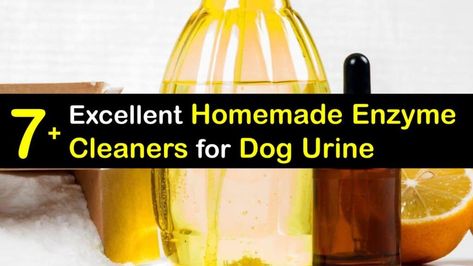 Enzyme Cleaner For Dog Urine, Diy Enzyme Cleaner, Dog Urine Odor Remover, Dog Urine Remover, Cleaning Pet Urine, Dog Pee Smell, Urine Remover, Baking Soda On Carpet, Smell Remover