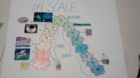 pH scale project idea Ph Scale Project Ideas, Science Tlm, Color Wheel Art Projects, Ph Scale, Color Wheel Art, Avengers Poster, Wheel Art, Preschool Art Activities, Science Project