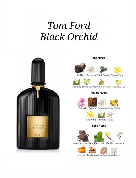 Tom Ford Black Orchid Perfume, Black Orchid Perfume, Black Orchid Tom Ford, Orchid Perfume, Perfume Notes, Fragrance Lab, Tom Ford Black Orchid, Best Perfume For Men, Perfume Recipes