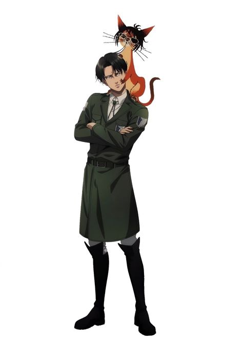 Levi Official Art Wit, Levi Illustration, Levi Ackerman Official Art, Crossed Arms, Mr Clean, Captain Levi, Eren Yeager, Attack On Titan Levi, Levi Ackerman