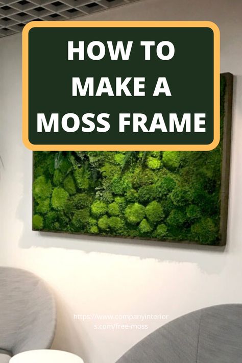 In This Video you will learn how to make a moss frame using preserved moss. The Moss used in Ball Moss , Flat Moss and Lichen. The Moss wall requires no maintenance whatsoever. Sustainable sources provide the moss and reindeer moss is a popular product from Scandinavian moss sources.  So you can create your own moss wall and install in your office or home. Interior Designers like to specify moss walls as they create a eco-friendly style to their interior home décor.  #mossframes #mosspicture Real Moss Decor, Making A Moss Wall, Framed Living Wall, Moss Wall Frame, Scandinavian Moss Bathroom, Hanging Moss Decor, Moss Frames Decor, Dried Moss Wall Art, Faux Moss Decor