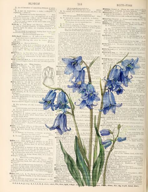 Bluebells on dictionary page: Delicate watercolor painting of blue bell-shaped flowers on stems against a background of vintage dictionary text. The flowers are rendered in shades of blue and green, creating a soft, ethereal effect that contrasts with the crisp black text of the dictionary entries Book Page Wallpaper Aesthetic, Wall Prints Aesthetic Bedroom Vintage, Flowers On Book Pages, Old Book Pages Aesthetic, Aesthetic Dictionary, Old Dictionary Pages, Vintage Dictionary Pages, Newspaper Flowers, Flower Dictionary