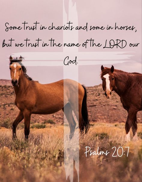 Christian Horse Wallpaper, Christian Horse Quotes, Bible Verse About Horses, Cowgirl Bible Verses, Cowboy Bible Verses, Western Life Quotes, Western Bible Verses, Scorpio Energy, Uplifting Sayings