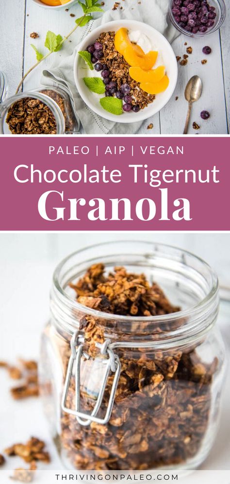 Chocolate Tigernut Granola (AIP, Paleo, Vegan, Nut-free) - Thriving On Paleo | AIP & Paleo Recipes for Autoimmune Disease Relief Aip Granola, Aip Granola Recipes, Paleo Granola Recipe, Paleo Recipes Snacks, Paleo Granola, Vegan Granola, Grain Free Granola, Paleo Recipes Breakfast, Aip Paleo Recipes