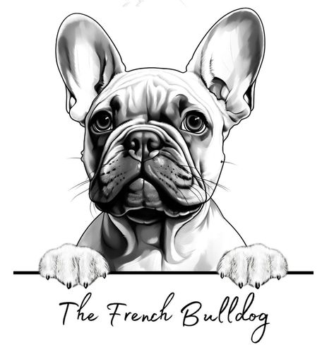 French Bulldog Drawing, French Bulldog Tattoo, Face Art Drawing, Tier Tattoo, Bulldog Tattoo, Dog Paw Tattoo, French Bulldog Art, Pencil Drawings Of Animals, Dog Sketch