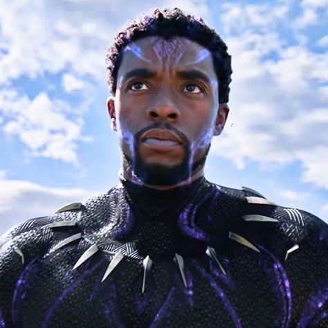 T'challa Black Panther, Tchalla Icons, Black Panther Pfp, Panther Artwork, King T Challa, Film Black Panther, 3d Animator, Mcu Icons, Black Heroes