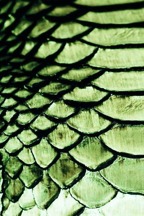 Green dragon scale Forth wing wallpapers #zicxa-photos #zicxa #images #background #wallpaper #freepik #shutterstock #VN Loki Aesthetic, Wings Wallpaper, Green Wing, Demon Tattoo, Neutral Bedrooms, Dragon Scales, Jade Dragon, Wallpapers Images, Star Children