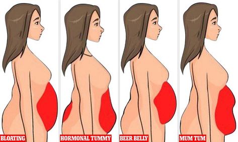 What does your tummy say about your health? Tummy Pudge, Pudgy Stomach, What Is Diastasis Recti, Big Tummy, Soft Tummy, Enlarged Liver, Pelvic Floor Muscle Exercise, Sarah Berry, Big Stomach