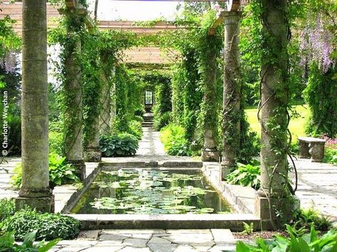 Ancient Greek Garden, Greek Garden, Persian Garden, Greek Villas, Ancient Greek Architecture, British Garden, Moon Moon, Water Features In The Garden, Mediterranean Garden