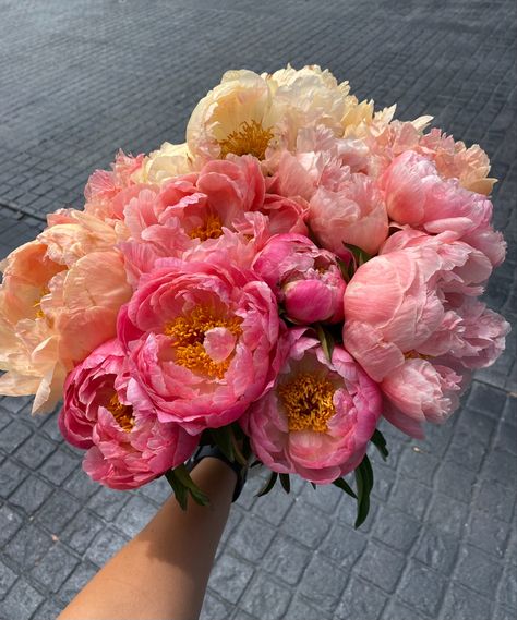 Love their smell, texture, colors 💖 my favorite flowers #Peonies Coral Sunset Peony, Peonies Colors, Colorful Peonies, Peony Flower Bouquet, Coral Sunset, Peony Arrangement, Flowers Peonies, Coral Peonies, Flower Box Gift