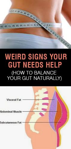 Signs Your Gut Needs Help (How To Balance Your Gut Naturally) – Upgraded Health Visceral Fat, Gut Bacteria, Health And Fitness Articles, Abdominal Fat, Double Height, Fitness Articles, Abdominal Muscles, Signs And Symptoms, Stubborn Belly Fat