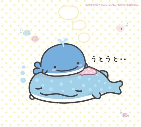 🫧 tags: #aesthetic #coquette #kawaii #kawaiistyle #kawaiicore #cutecore #mamegoma #ocean #oceanlife #marine #marinebiology Jinbesan Icon, Rosie Animal Crossing, Silly Shark, Happy Whale, Coquette Kawaii, Sharks Funny, Shark Art, Ipad Background, Cute Whales