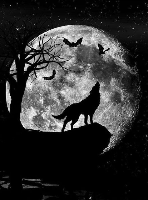 Wolf Moon Wallpaper, Wolf And Moon Tattoo, Japanese Warrior Tattoo, Magical Wolf, Goddess Of Love And Beauty, Moon Wolf, Wallpaper Moon, Amoled Wallpapers, Black Background Photography