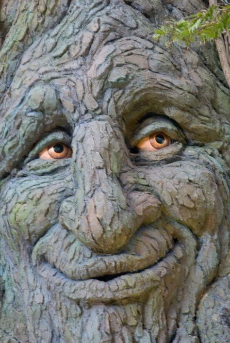 Neat face Tree Beard, Wood Carving Art Sculpture, Creative Garden Decor, Brand Storytelling, Simple Wood Carving, Tree People, The Mad Hatter, Tree Faces, Dremel Wood Carving