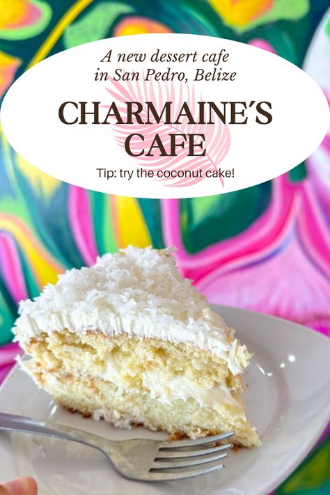 Calling all dessert lovers! Charmaine's Cafe, a new dessert haven in San Pedro, Ambergris Caye, Belize, is quickly becoming my new obsession. Its delectable coconut cake, crowned with generous cream cheese icing, has been declared the "Best Bite of November" by SanPedroScoop.com. Try the gelato, the cheesecake, the pies...it's all amazing. Conch Fritters, San Pedro Belize, Ambergris Caye Belize, Cold Cake, Cake Cheesecake, Brownie Ice Cream, Ambergris Caye, Rich Desserts, Street Tacos