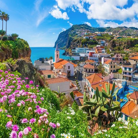 Why Madeira Is Portugal's Best-Kept Secret - TravelAwaits Madeira Beach Florida, Funchal Madeira, Voyage Europe, Mai Tai, Jules Verne, Funchal, Island Getaway, Winston Churchill, Portugal Travel