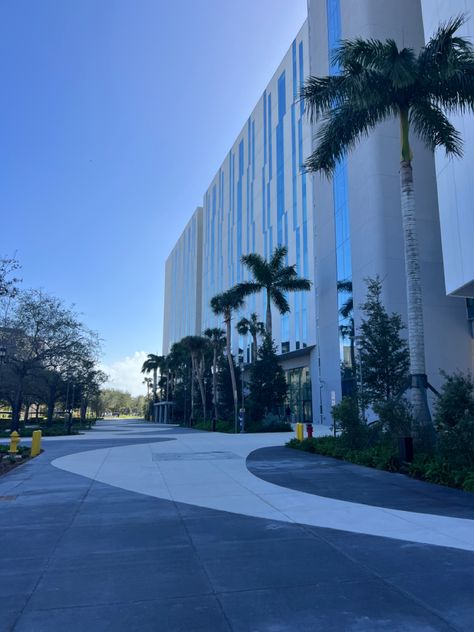 #miami Florida International University Aesthetic, Fiu College Aesthetic, College Prints, Future Board, Florida International University, Florida Life, Dream Future, College Aesthetic, International University