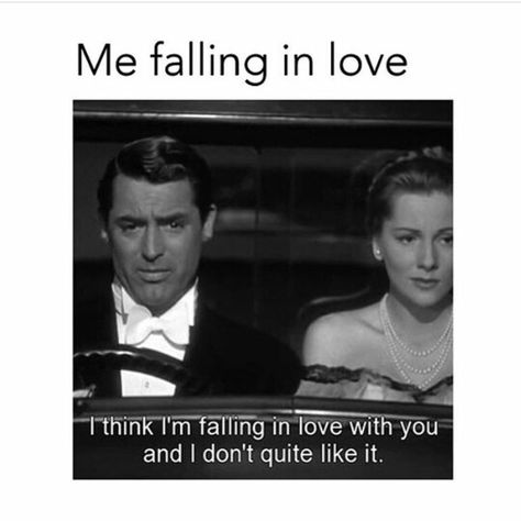 Me falling in love.i think I'm falling in love with you and I don't quite like it Petty Memes, Im Falling For You, Falling In Love Quotes, Love Quotes Funny, Im Falling In Love, Im Falling, Love Me Quotes, Scandal Abc, Love Memes