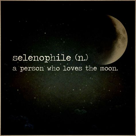 Selenophile - a person who loves the moon Night Quotes Thoughts, One Word Caption, Space Quotes, Moon Lover, Moon Quotes, Uncommon Words, Love Moon, Rare Words, Truth Of Life