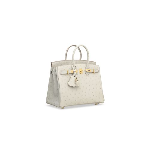 Birkin Ostrich, 2024 Bags, Ostrich Birkin, Hermes Birkin Bag, Dream Bags, Luxury Bags Collection, Aesthetic Bags, Hermes Birkin 25, Handbags Affordable